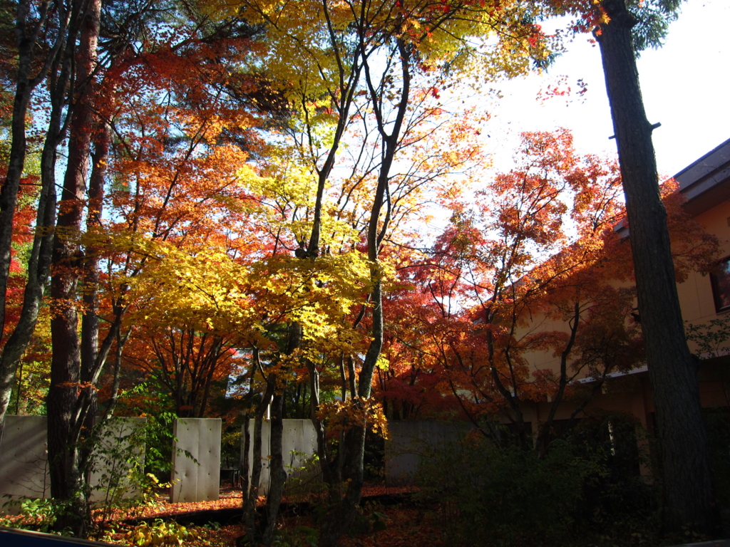 f:id:kopuccho:20160710110909j:plain