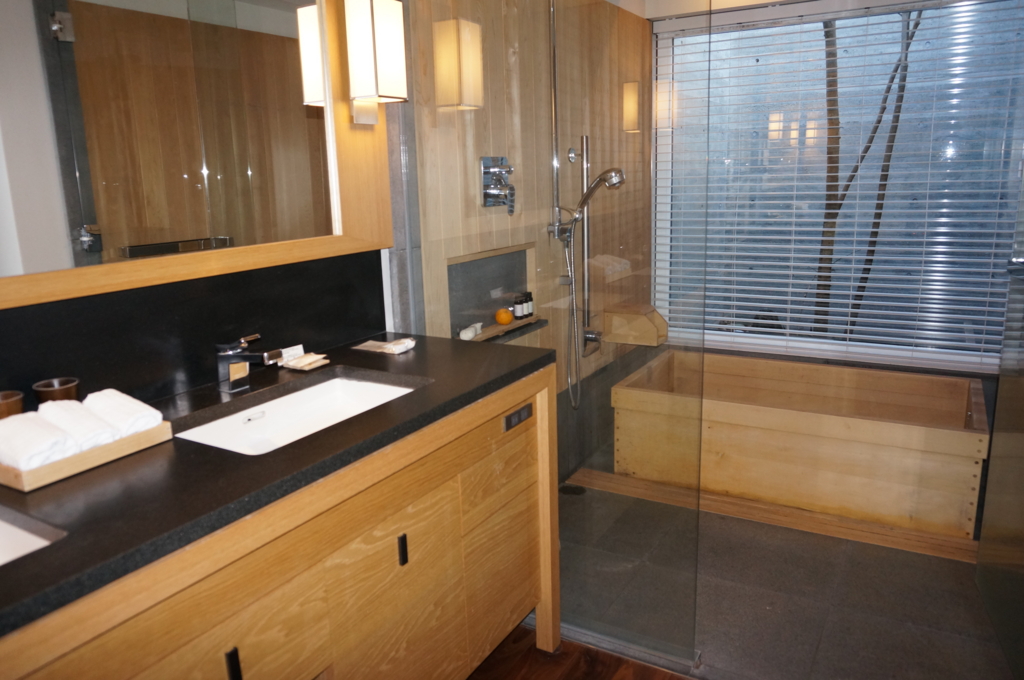 f:id:kopuccho:20161116090558j:plain