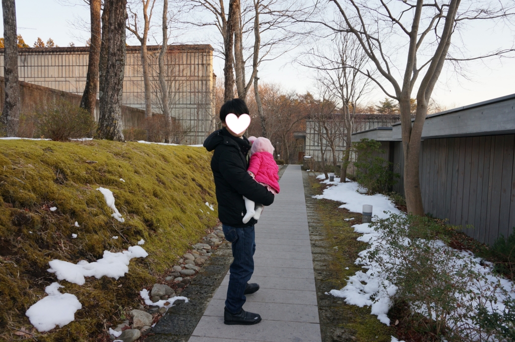 f:id:kopuccho:20161116091050j:plain