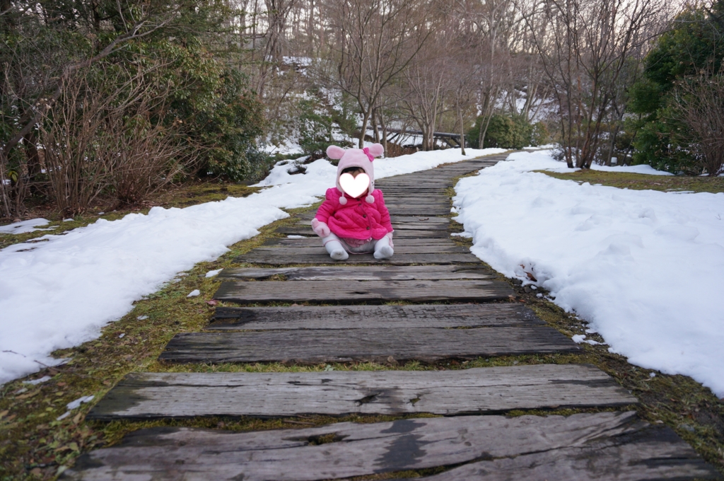 f:id:kopuccho:20161116091217j:plain