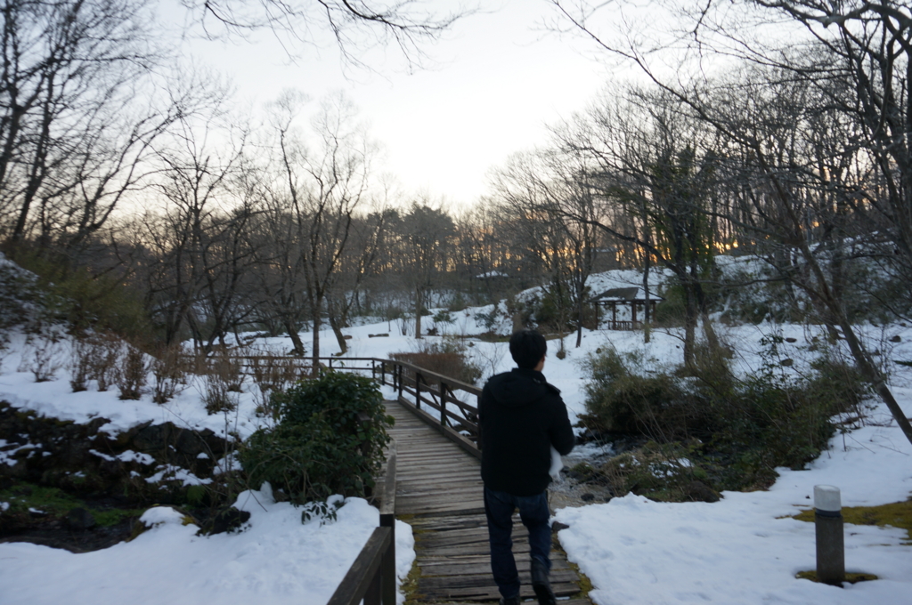 f:id:kopuccho:20161116091400j:plain