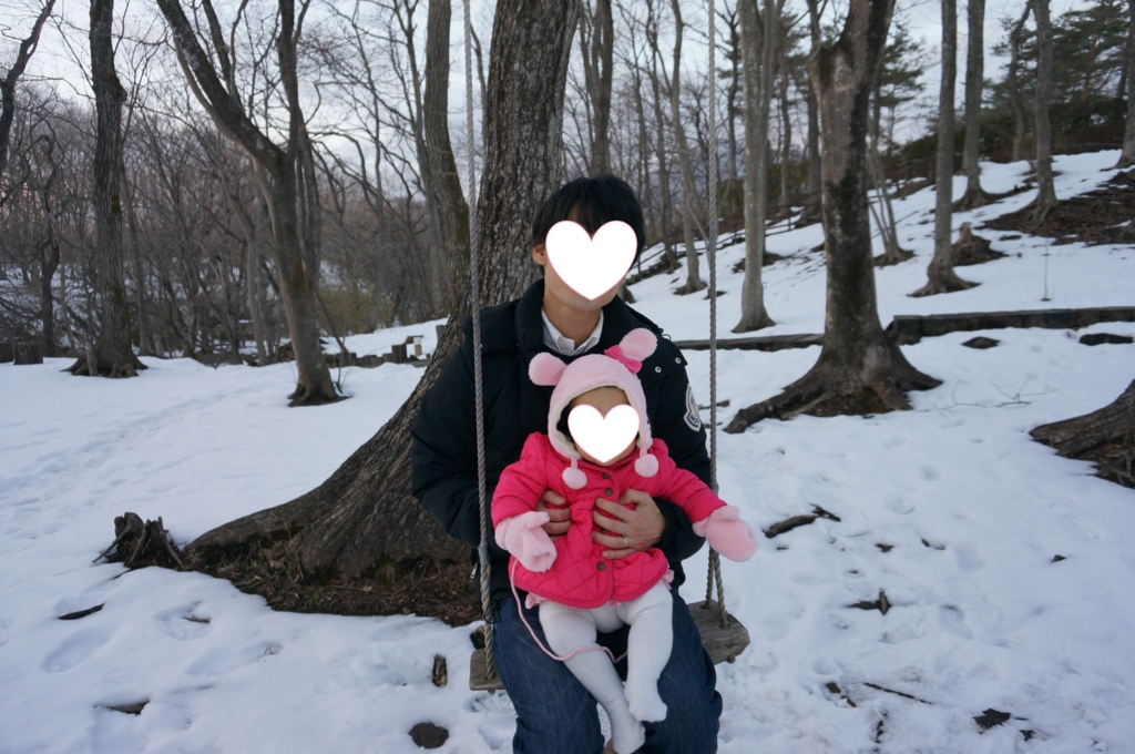 f:id:kopuccho:20161116091401j:plain