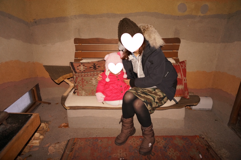 f:id:kopuccho:20161116092006j:plain