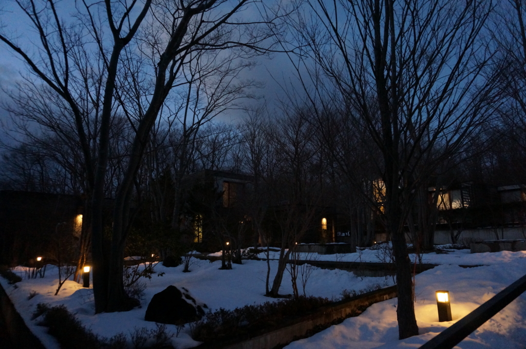 f:id:kopuccho:20161116092559j:plain