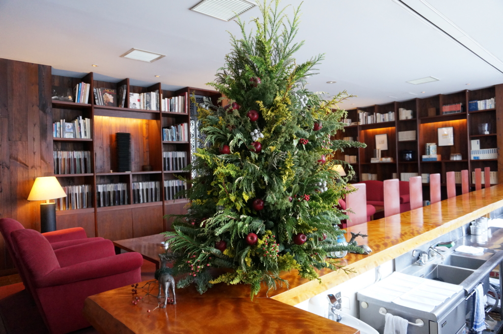 f:id:kopuccho:20161116094519j:plain