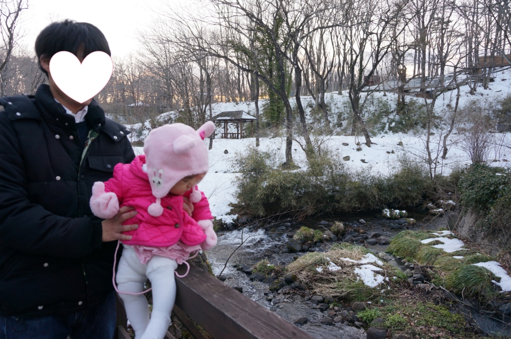 f:id:kopuccho:20161129075533j:plain