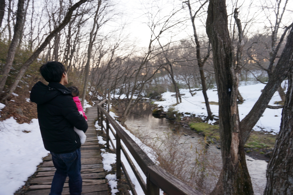 f:id:kopuccho:20161129081450j:plain