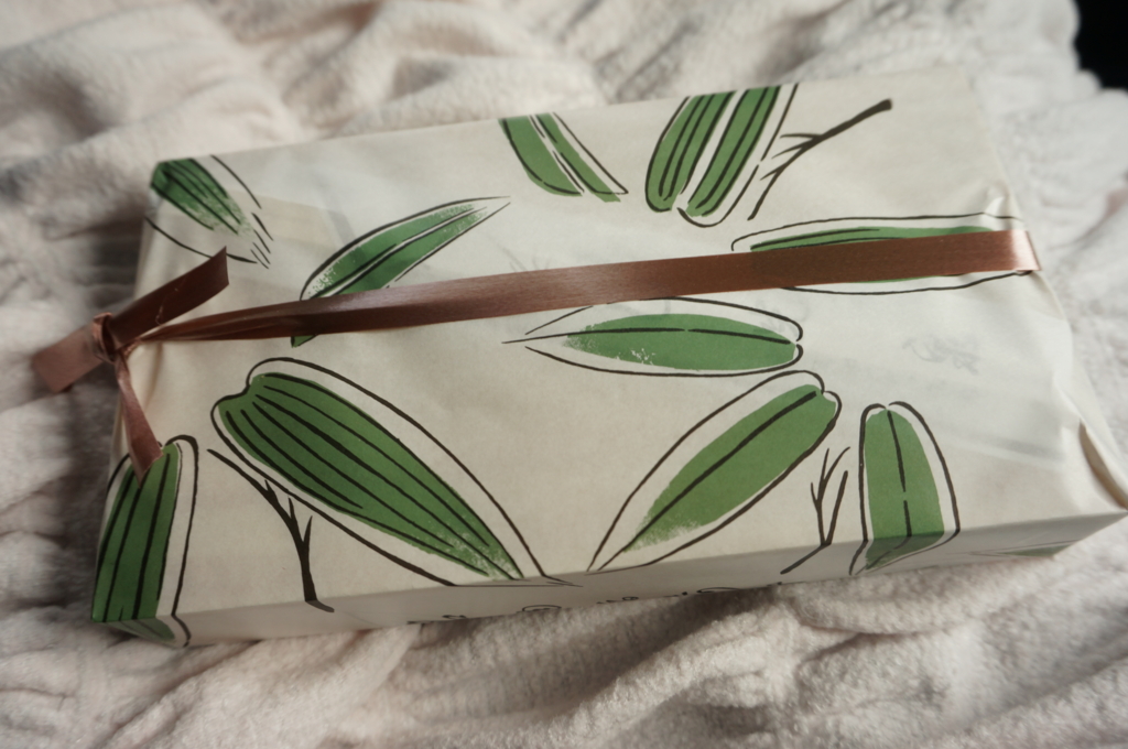 f:id:kopuccho:20161227152542j:plain