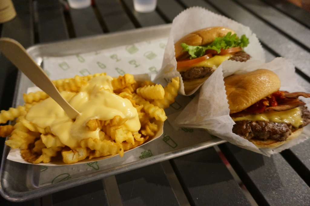 f:id:kopuccho:20170115103532j:plain