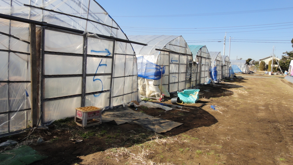 f:id:kopuccho:20170215090538j:plain