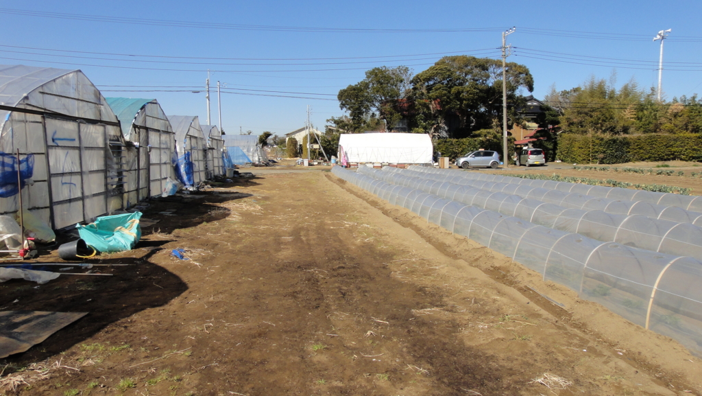 f:id:kopuccho:20170215094245j:plain