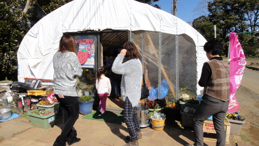 f:id:kopuccho:20170215094703j:plain