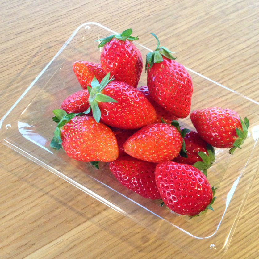 f:id:kopuccho:20170215095652j:plain