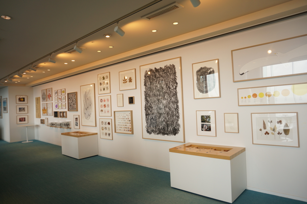 f:id:kopuccho:20170311090914j:plain