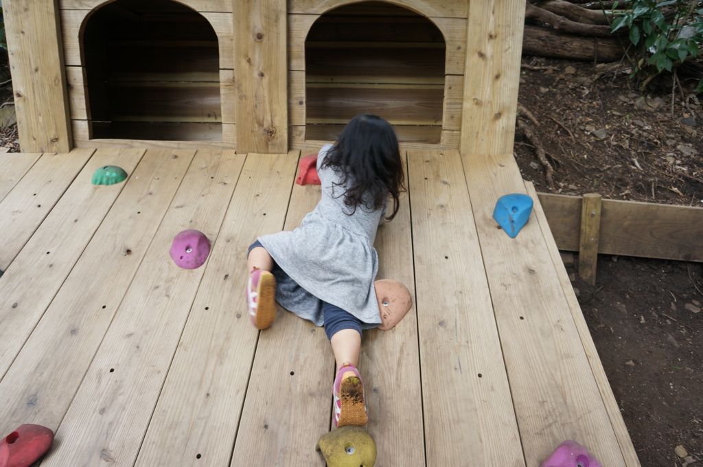 f:id:kopuccho:20170315070740j:plain