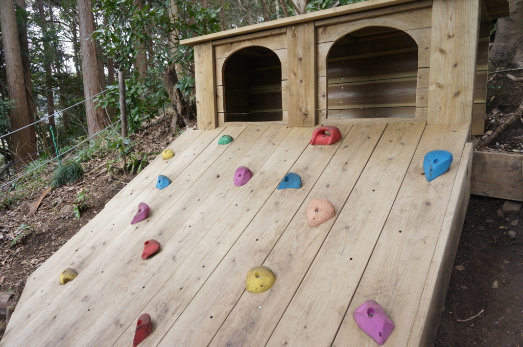 f:id:kopuccho:20170315070754j:plain