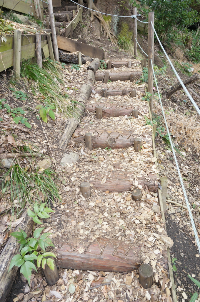 f:id:kopuccho:20170315071114j:plain