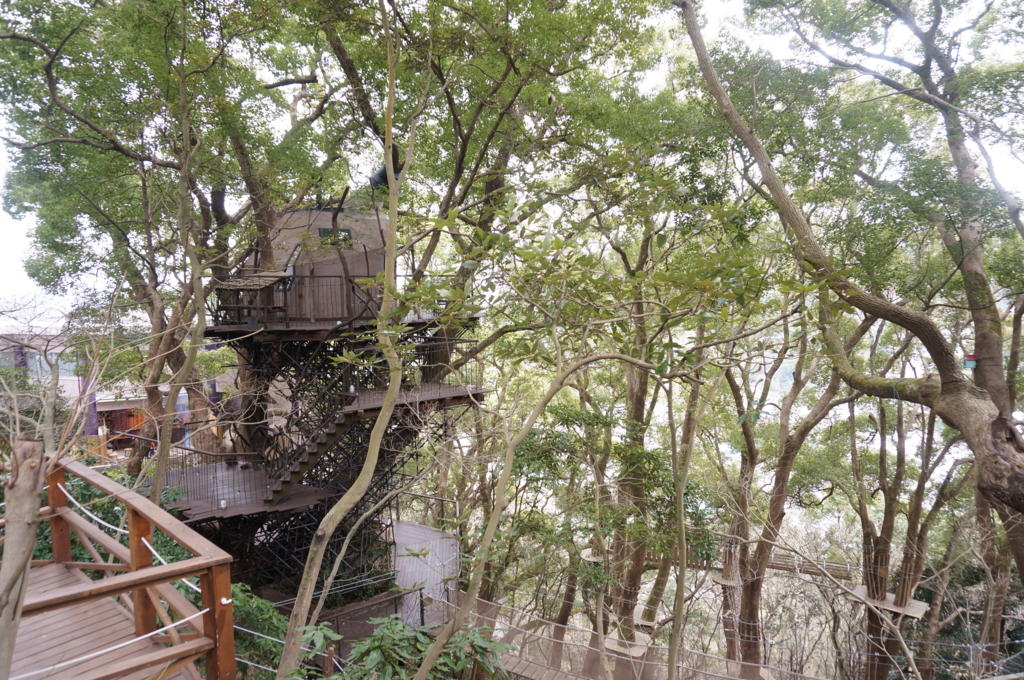 f:id:kopuccho:20170315071428j:plain