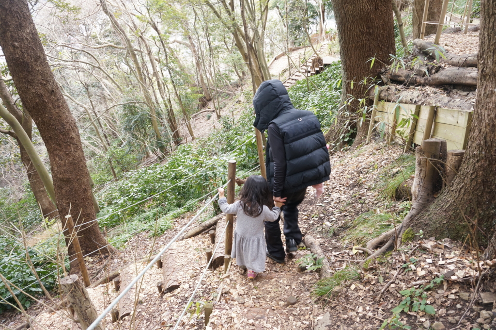 f:id:kopuccho:20170315071905j:plain