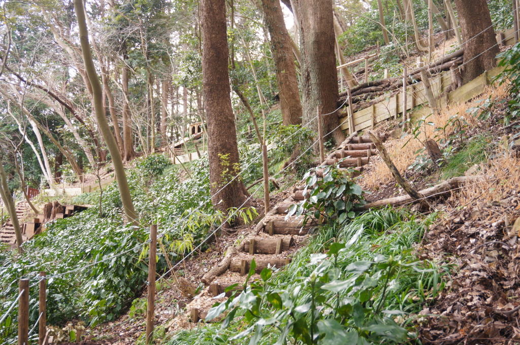 f:id:kopuccho:20170315072004j:plain