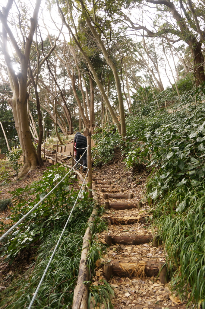 f:id:kopuccho:20170315072249j:plain