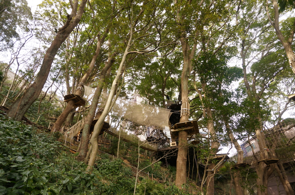 f:id:kopuccho:20170315072258j:plain