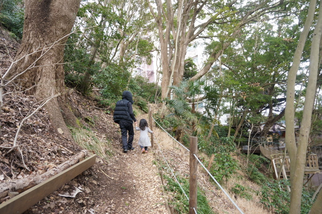 f:id:kopuccho:20170315072323j:plain