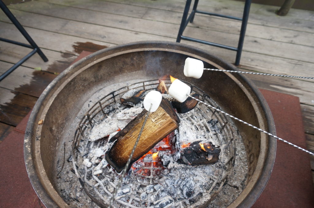 f:id:kopuccho:20170318072934j:plain