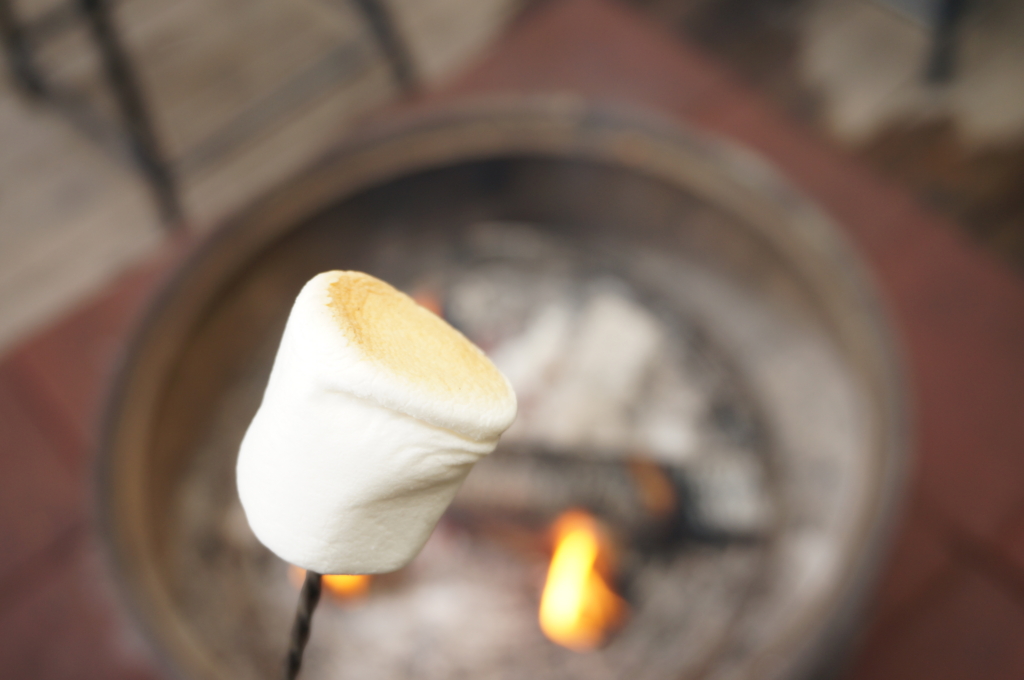 f:id:kopuccho:20170318073344j:plain