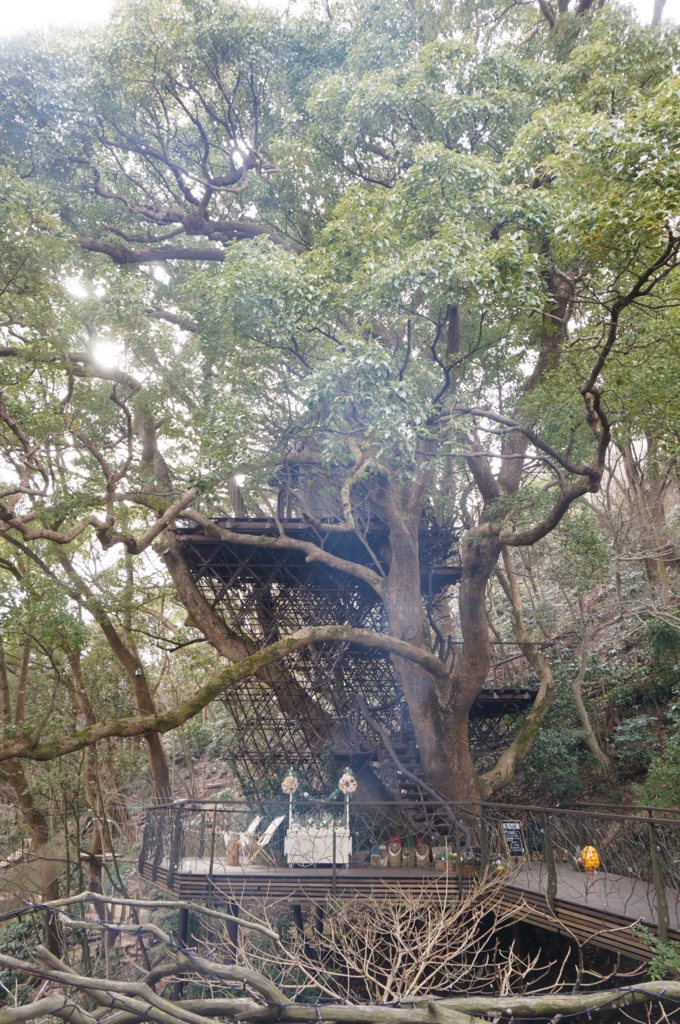 f:id:kopuccho:20170318073533j:plain