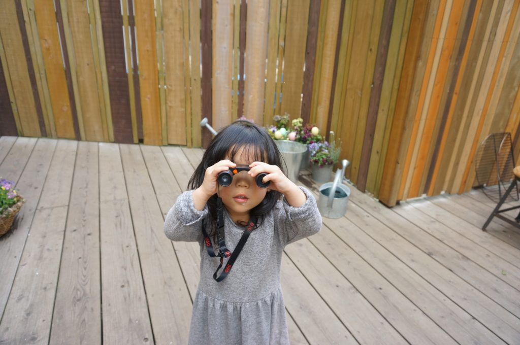 f:id:kopuccho:20170318073723j:plain