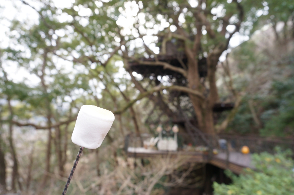 f:id:kopuccho:20170320181520j:plain