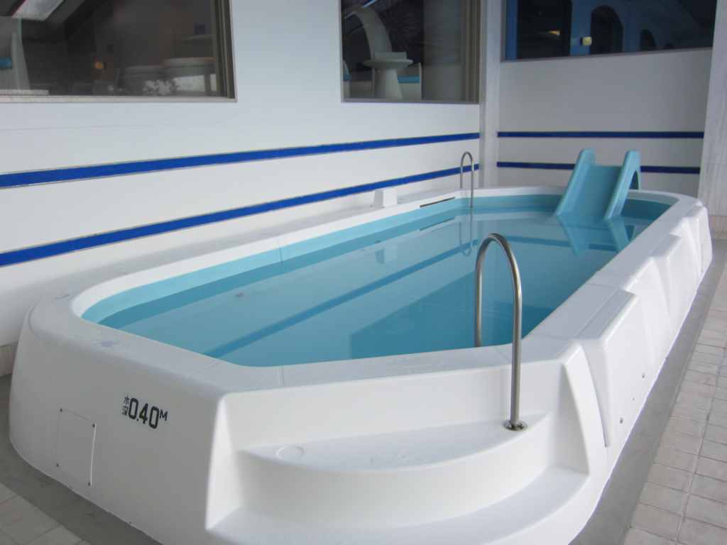 f:id:kopuccho:20170325085832j:plain f:id:kopuccho:20170325085832j:plain