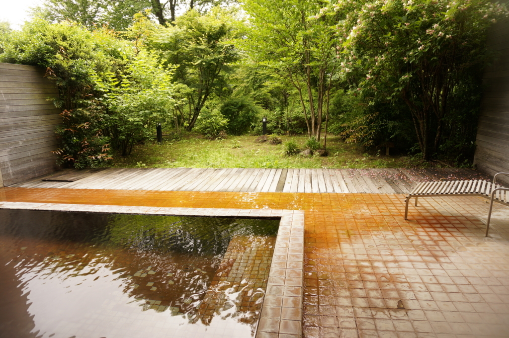 f:id:kopuccho:20170626113007j:plain