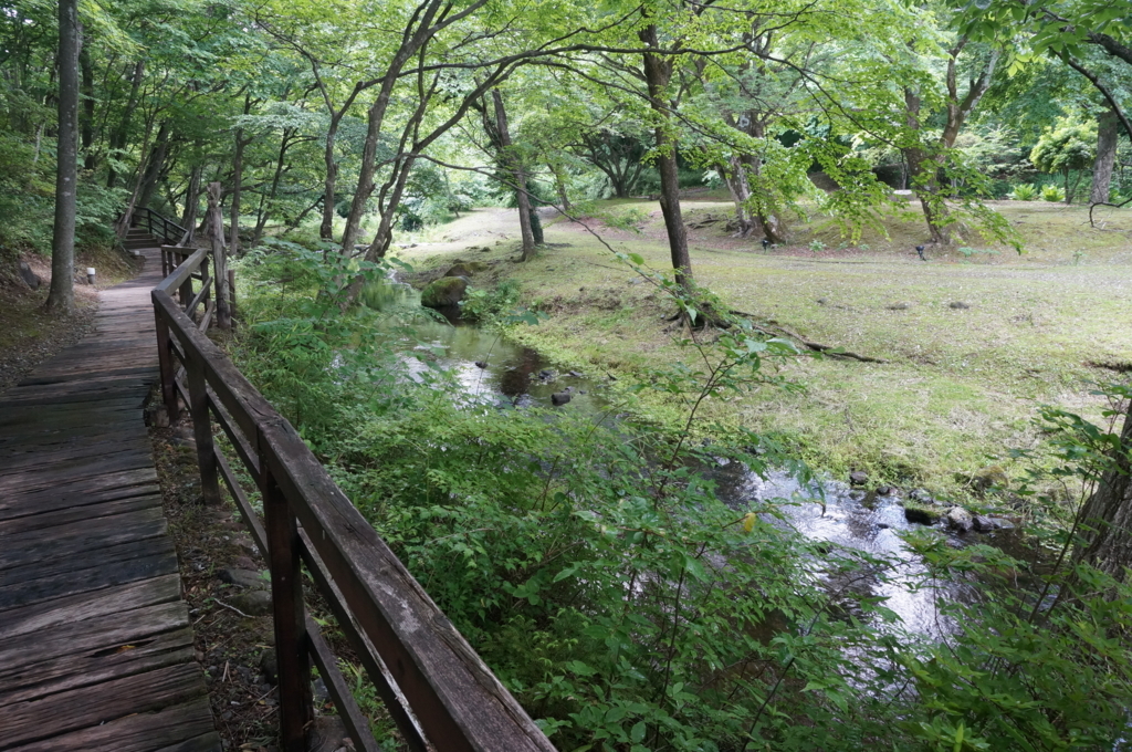 f:id:kopuccho:20170712064119j:plain