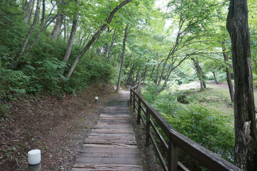 f:id:kopuccho:20170712064240j:plain