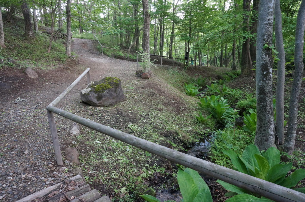 f:id:kopuccho:20170712064849j:plain