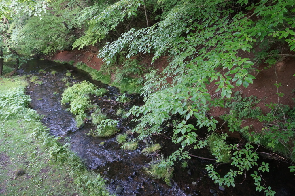 f:id:kopuccho:20170712065253j:plain