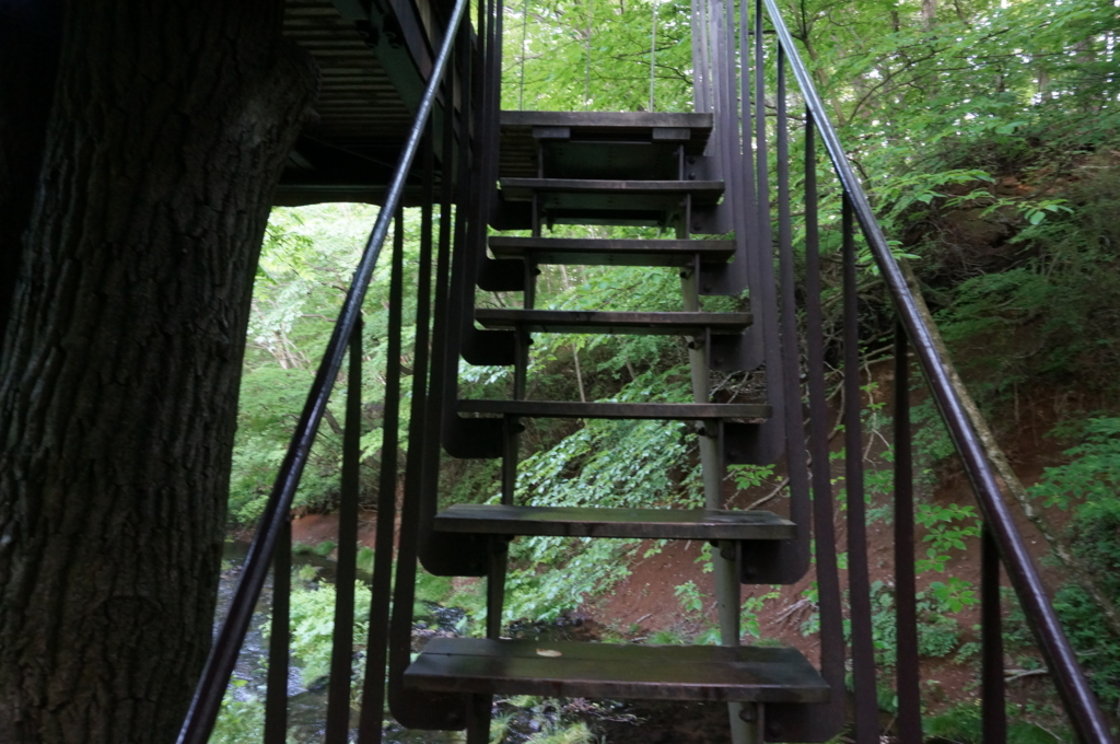 f:id:kopuccho:20170712070008j:plain