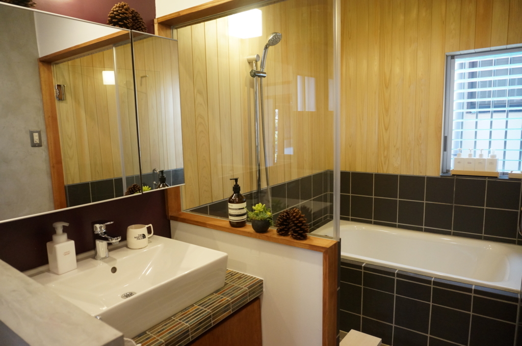 f:id:kopuccho:20170722105126j:plain