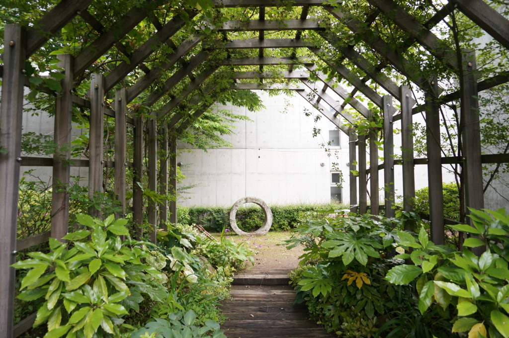 f:id:kopuccho:20170729162930j:plain