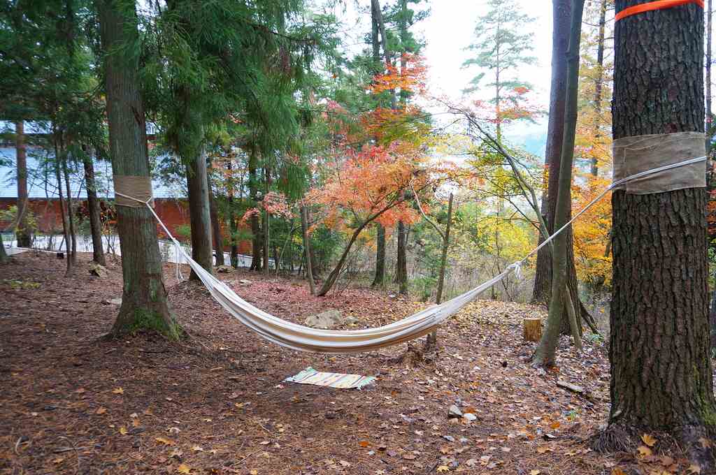 f:id:kopuccho:20170822093219j:plain