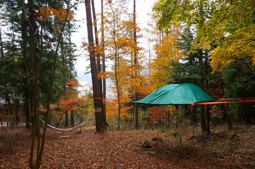 f:id:kopuccho:20170822110211j:plain