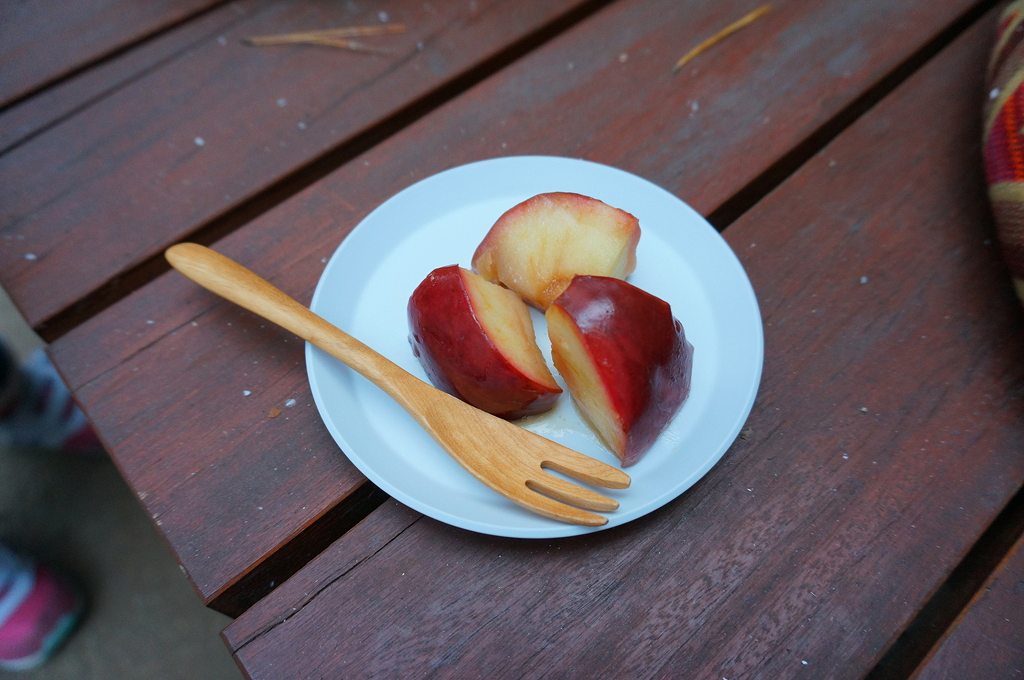 f:id:kopuccho:20170822111635j:plain