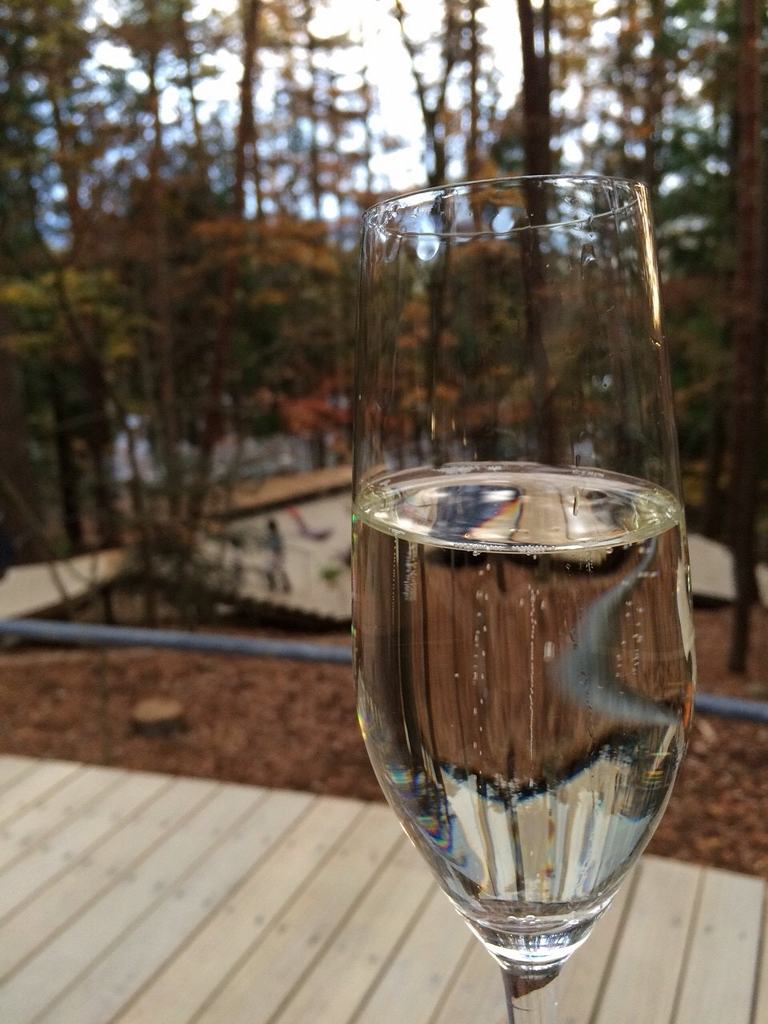 f:id:kopuccho:20170822111732j:plain