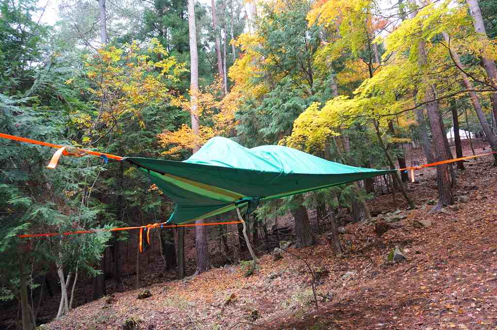 f:id:kopuccho:20170822133727j:plain