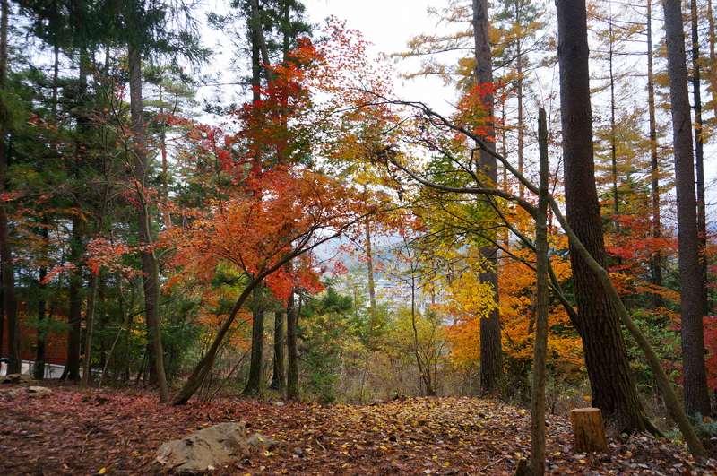 f:id:kopuccho:20170822154914j:plain