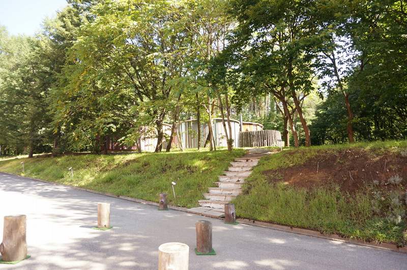 f:id:kopuccho:20170823223748j:plain