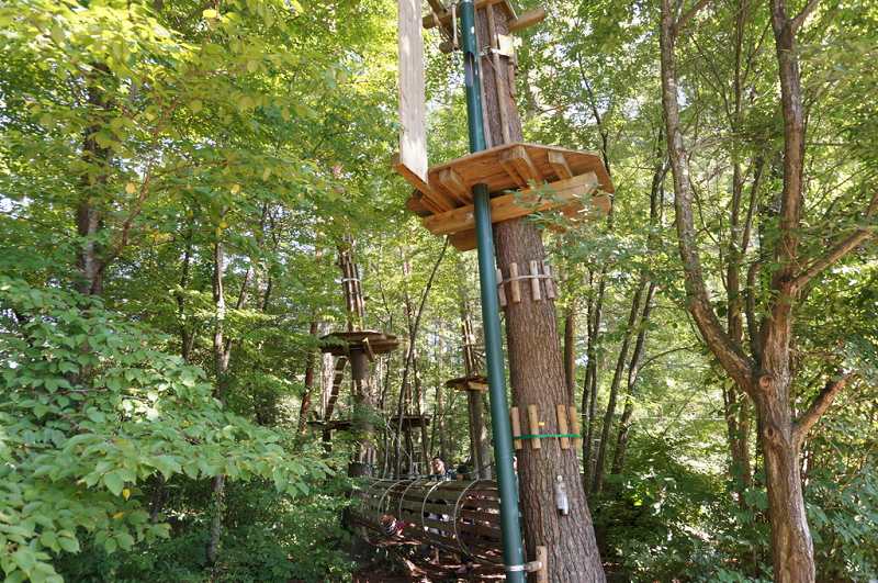 f:id:kopuccho:20170824074232j:plain