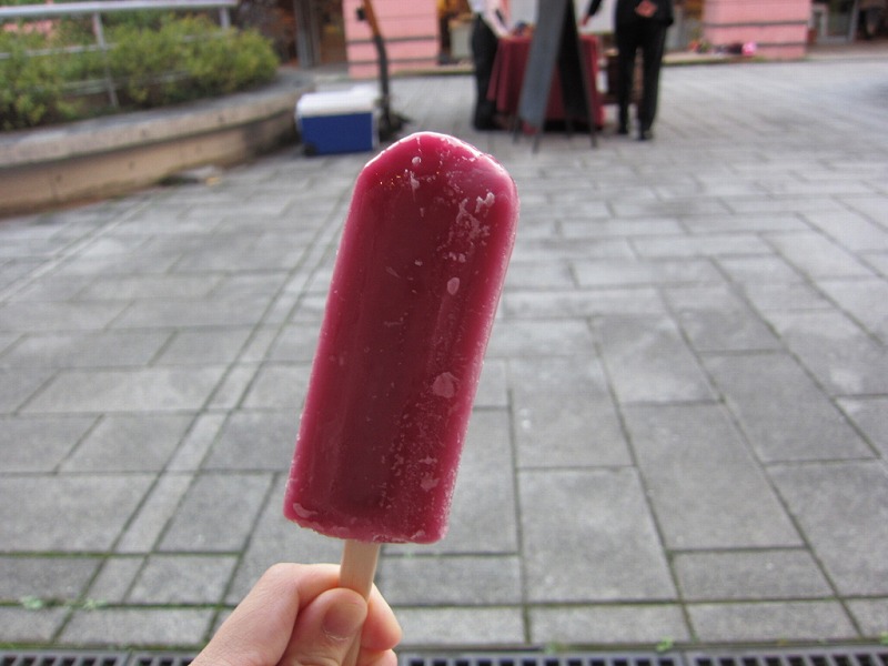 f:id:kopuccho:20170824080914j:plain